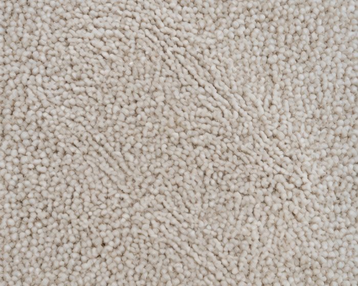 Carpet after WISESOFT spot treatment