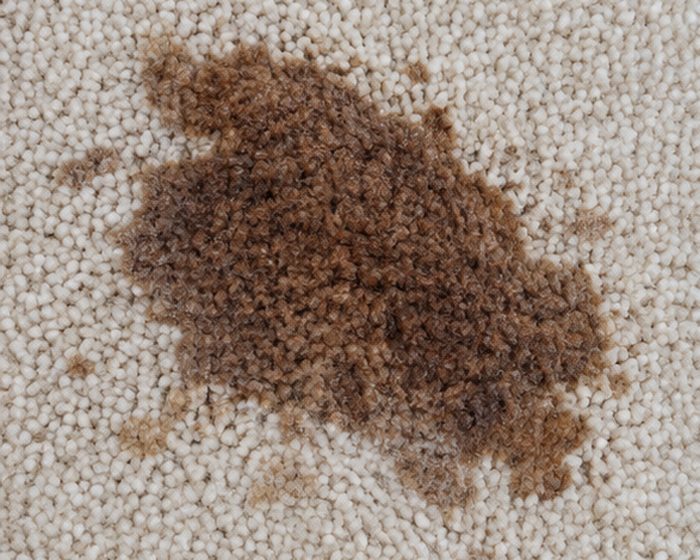 Carpet before WISESOFT spot treatment
